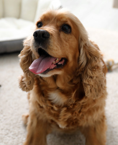 -BASE MELIA- Não Mexer